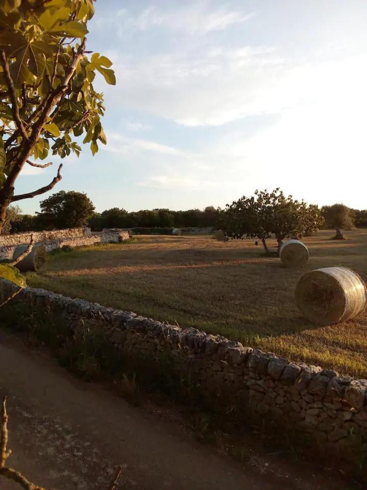 منزل الضيف كاستيلانا غروتي  في Masseria Fra Diavolo المظهر الخارجي الصورة