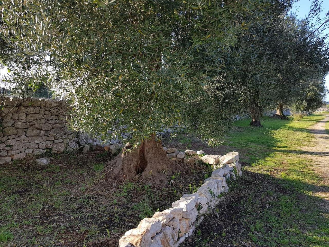 منزل الضيف كاستيلانا غروتي  في Masseria Fra Diavolo المظهر الخارجي الصورة